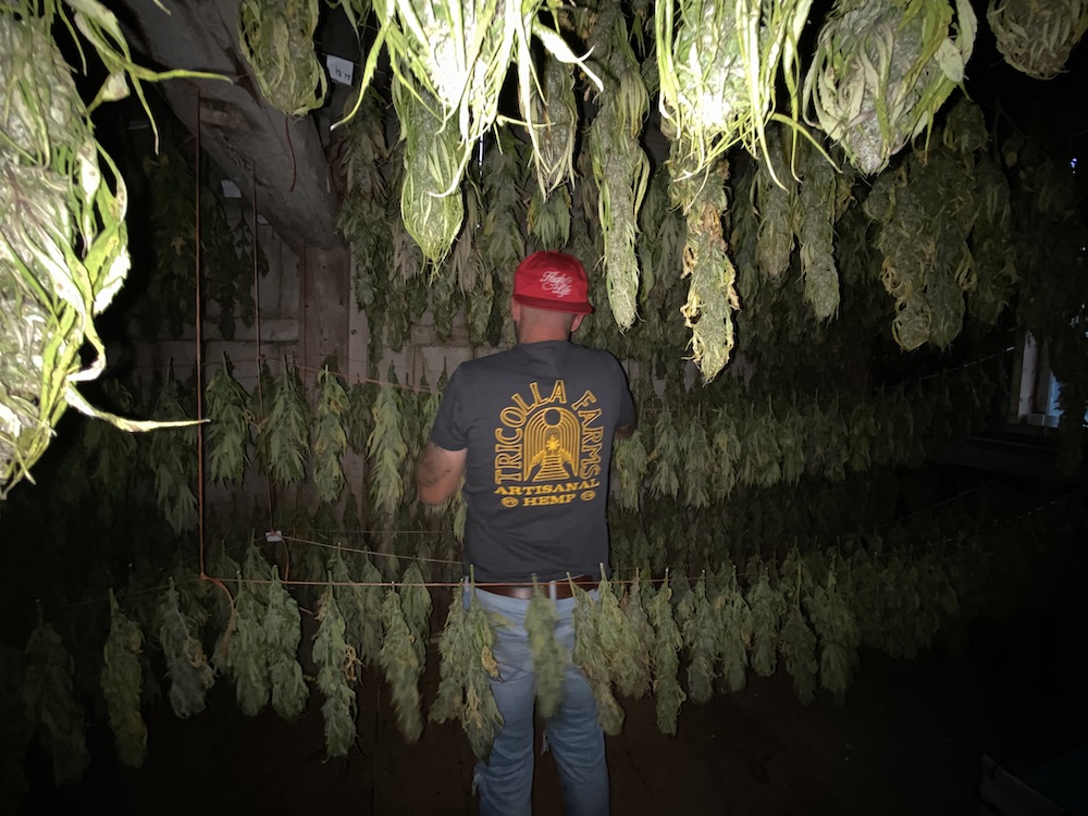 erik-carbone tricolla-farms upstate new york hemp farm