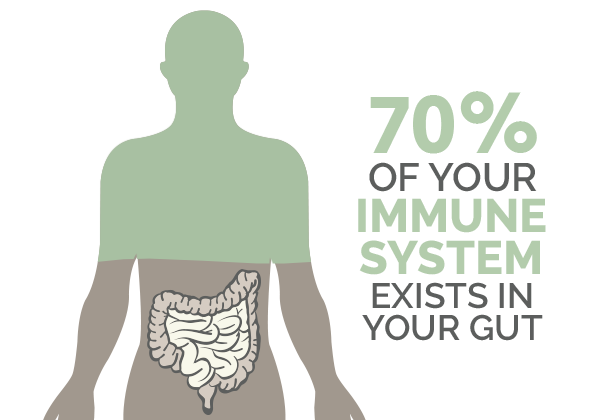 immune system in gut