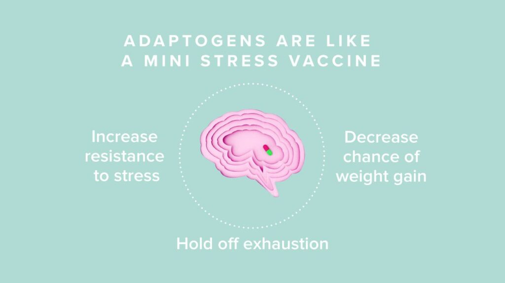 adaptogens for stress image from healthline