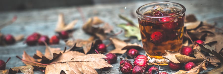 schisandra berry in a glass with fall leaves