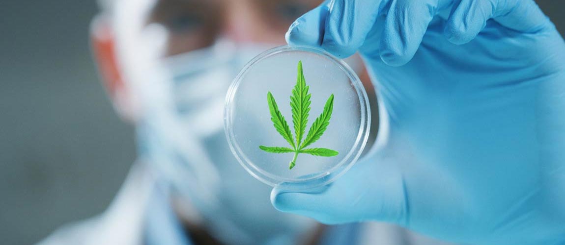 Can You Fail a Drug Test Taking CBD?