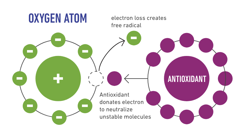 antioxidant and free radicals