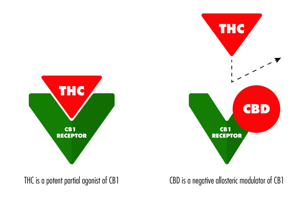 cbd vs thc