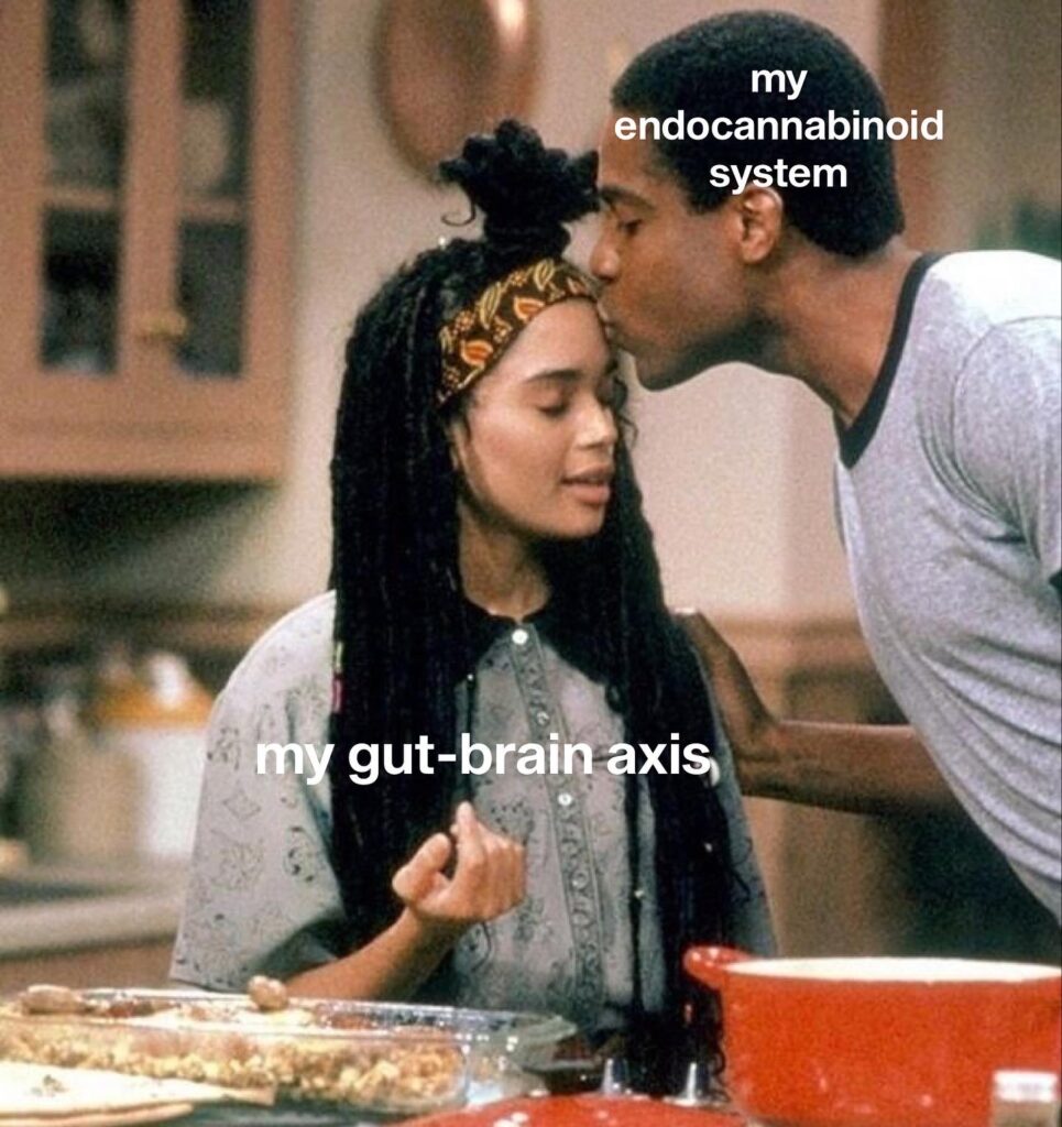 cosby show meme about gut-brain axis and how endocannabinoid system supports it