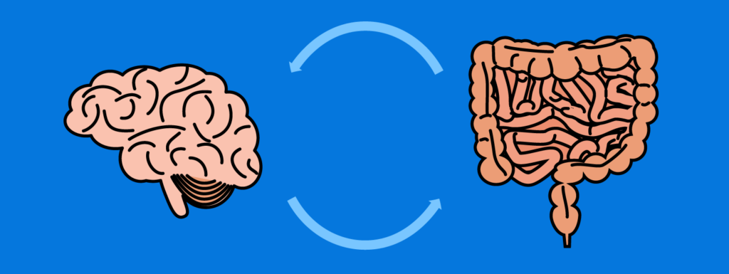 gut-brain connection