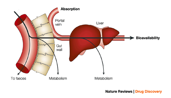 first pass metabolism