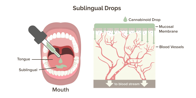 sublingual CBD bioavailbility and absorption