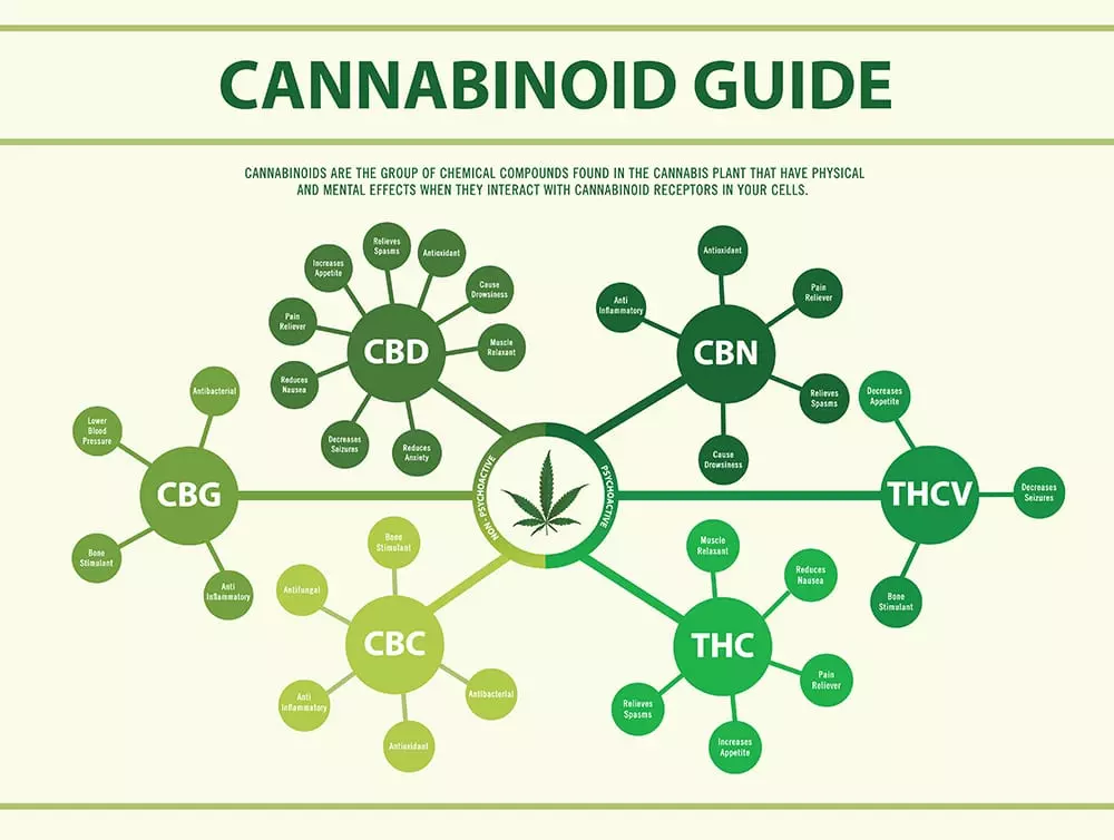 cannabinoid guide