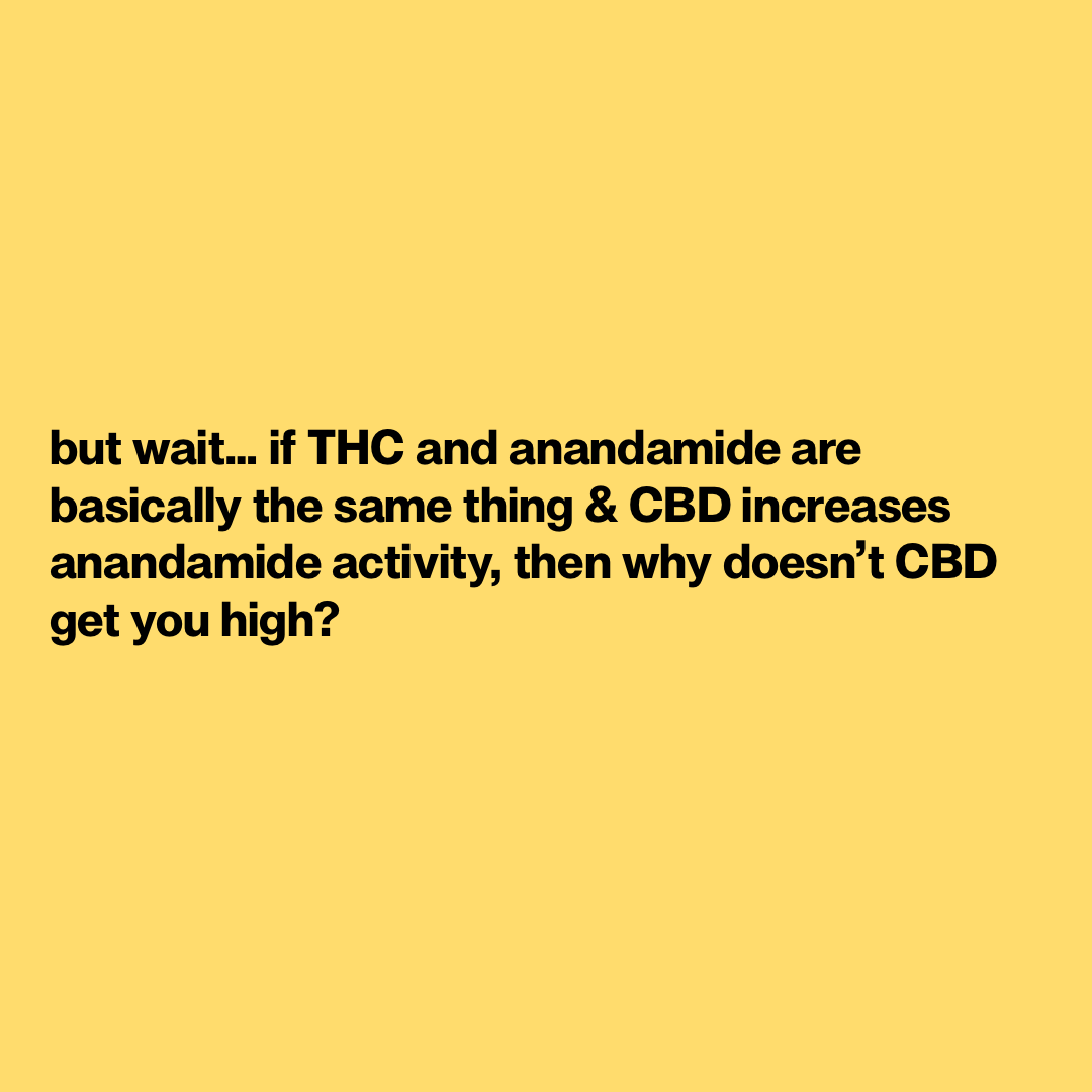 why doesnt CBD get you high