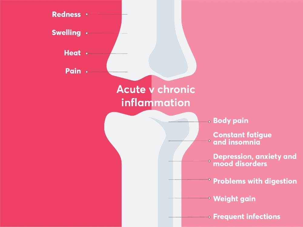 chronic v acute inflammation