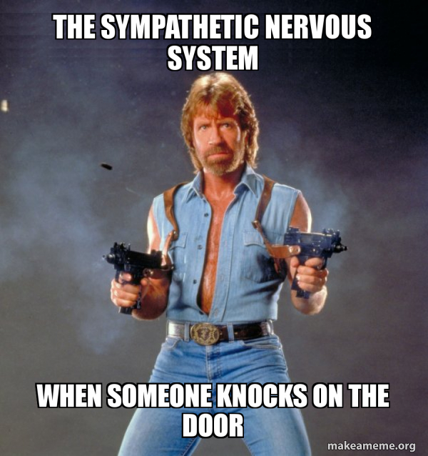 sympathetic nervous system overactive meme